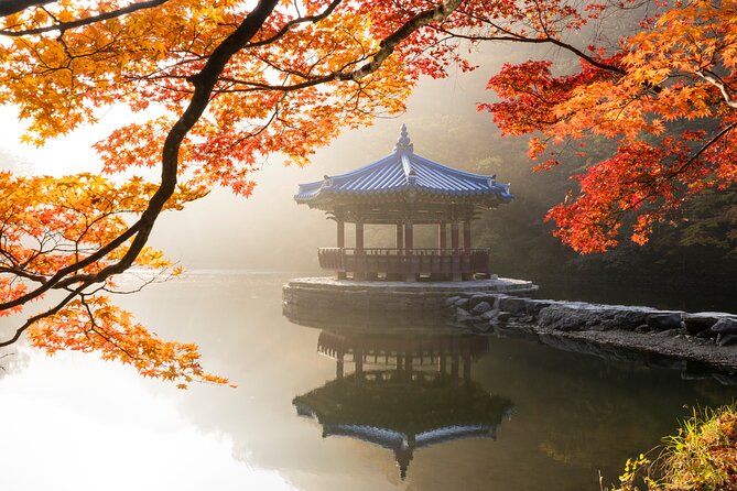 Naejangsan National Park Autumn Foliage One Day Tour from Seoul - Why Naejangsan’s Autumn Reds Are a Big Deal (Even If You’ve Seen Photos)