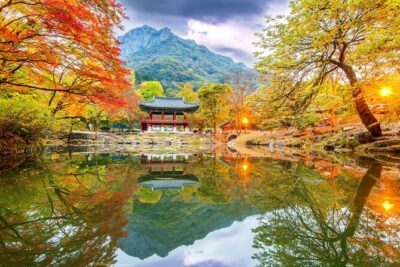 Naejangsan National Park Autumn Foliage One Day Tour from Seoul - The Coach Ride From Seoul: Comfortable, Long, and Weather-Sensitive