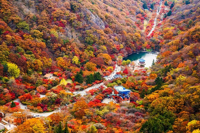 Naejangsan National Park Autumn Foliage One Day Tour from Seoul - Naejangsa Temple: The Cultural Stop That Gives the Leaves Meaning