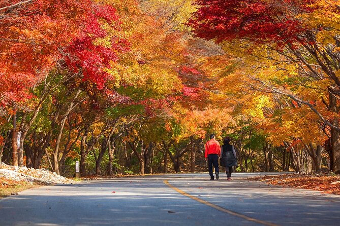 Naejangsan National Park Autumn Foliage One Day Tour from Seoul - Group Size, Staff Languages, and How Much You’ll Rely on Others
