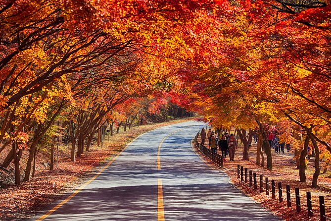 Naejangsan National Park Autumn Foliage One Day Tour from Seoul - Price and Value: Is $46.29 Worth a Full Day on the Road?