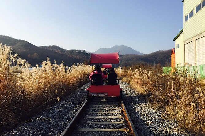 Nami Island and Begonia Bird Park Tour from Seoul (opt Railbike) - Nami Island: tree-lined paths, strolling freedom, and Winter Sonata vibes