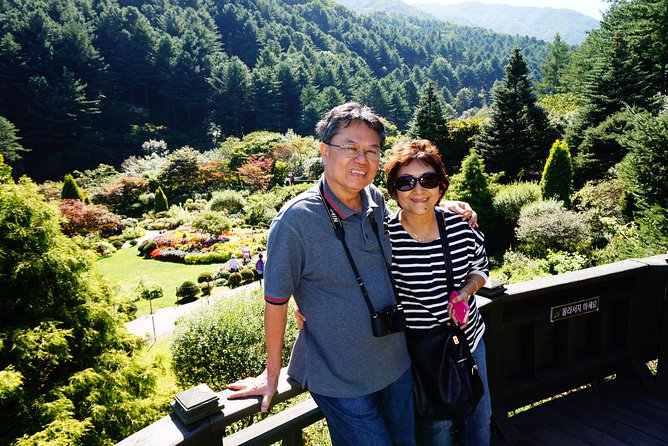 Nami Island from Seoul: Petit France and Garden of Morning Calm - How This Private Day Tour Works in Real Seoul Time