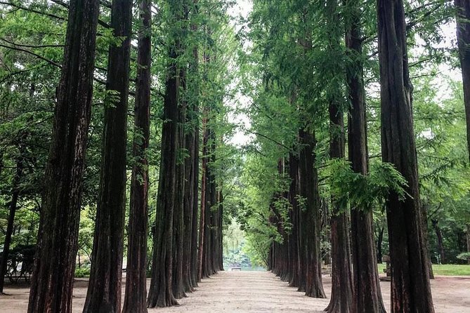 Nami Island & Nearby Attractions : Charter Van Tour With Driver - Gangchon Rail Park: Tunnel Rail Bikes and Bukhan River Views