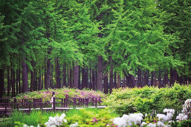 Nami Island& Petite France& Garden of Morning Calm& Italian Village One-Day Tour - Garden of Morning Calm: why this stop feels different