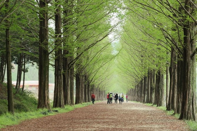 Nami Island& Petite France& Garden of Morning Calm& Italian Village One-Day Tour - Group day reality: where small problems can show up