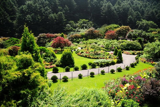 Nami Island& Petite France& Garden of Morning Calm& Italian Village One-Day Tour - Who should book this tour (and who should skip it)