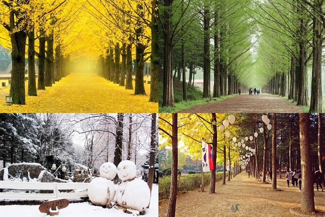 Nami Island & Petite France with Italian Village One-Day Tour - Getting there from Hongik Univ Station is simple