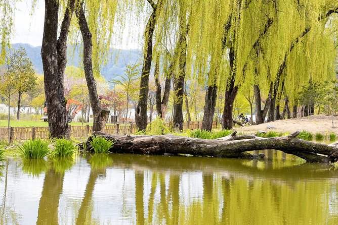 Nami Island & Petite France with Italian Village One-Day Tour - Who this tour is best for