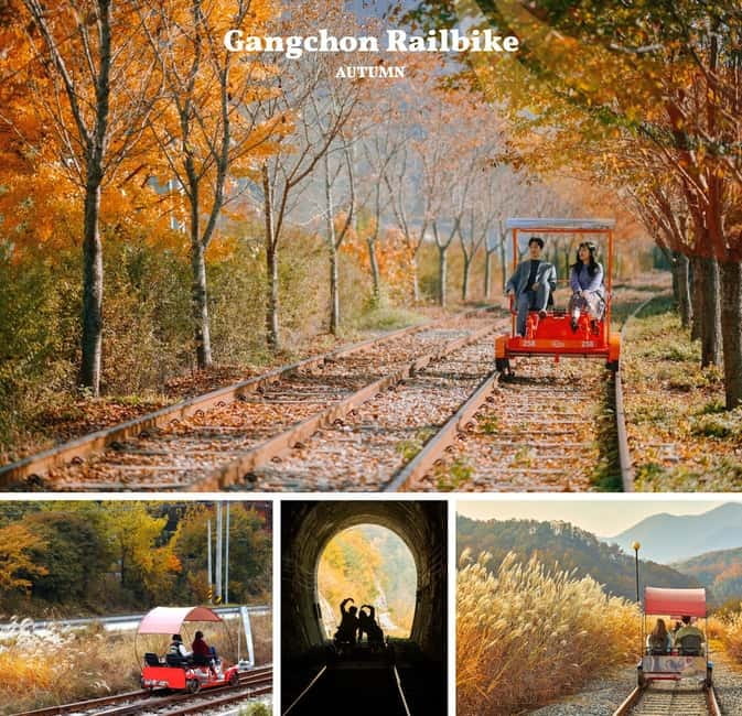 Nami Island, Railbike & Alpaca Garden Day Trip from Seoul - Key highlights at a glance