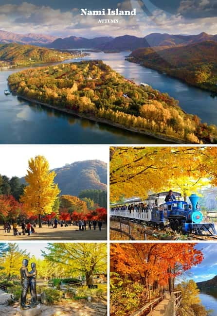 Nami Island, Railbike & Alpaca Garden Day Trip from Seoul - The Alpaca Garden in Gapyeong: feeding time and calm countryside moments