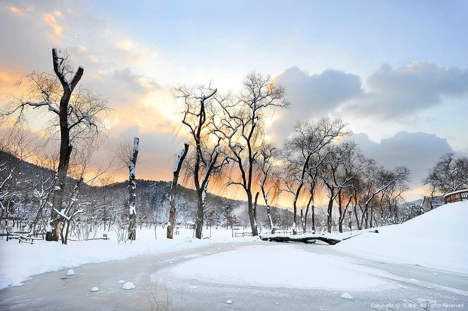 Nami Island, Railbike & Alpaca Garden Day Trip from Seoul - Timing, comfort, and meal strategy for a smoother day