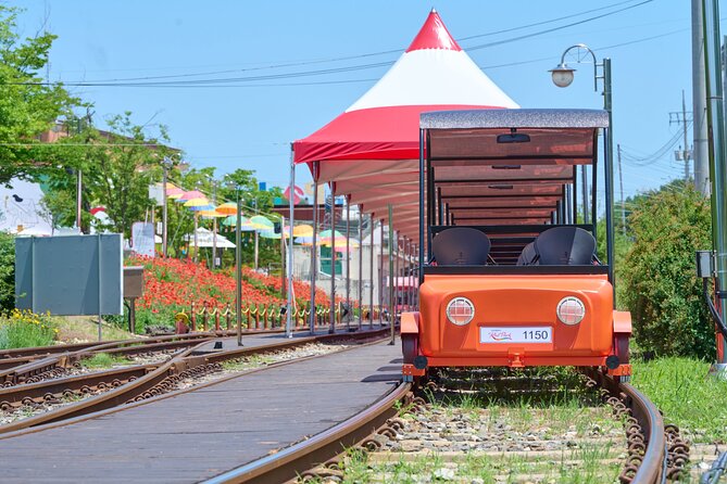 Nami Island Trip with Petite France & Italian Village and Gangchon Rail Bike - Nami Island: Ferry Included, Then Walk or Bike at Your Pace