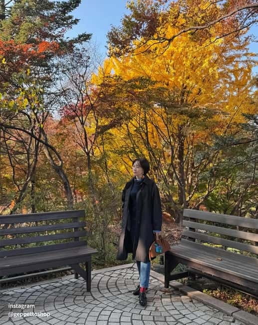 Nami & Maple Road & Theatre des Lumieres Day Tour from Seoul - Who This Day Trip Suits Best