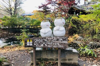 Nami+Alpaca+Garden of Morning Calm (+Rail Bike Option) - Gyeonggang Rail Bike option: fun, but start point and seat type matter