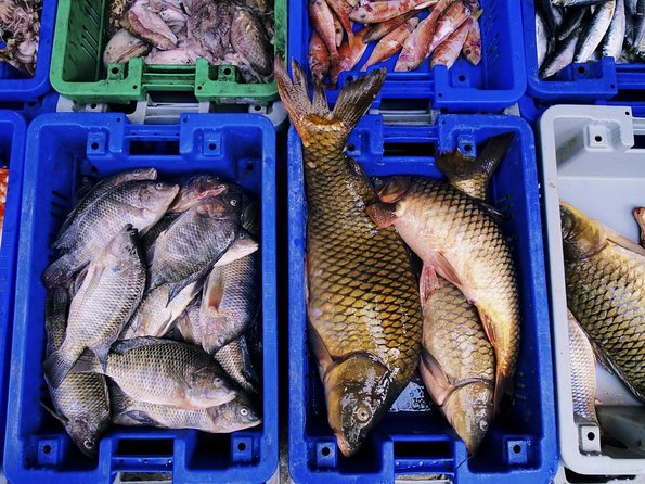 Noryangjin Fish Market Dinner - Key things to know before you go
