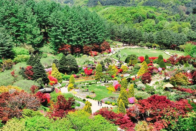 One Day Private Tour-Nami, Petite and Garden of Morning Calm - Price and what you’re really buying at $309