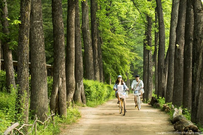One Day Private Tour-Nami, Petite and Garden of Morning Calm - How the 9-hour schedule feels (and how to pace yourself)