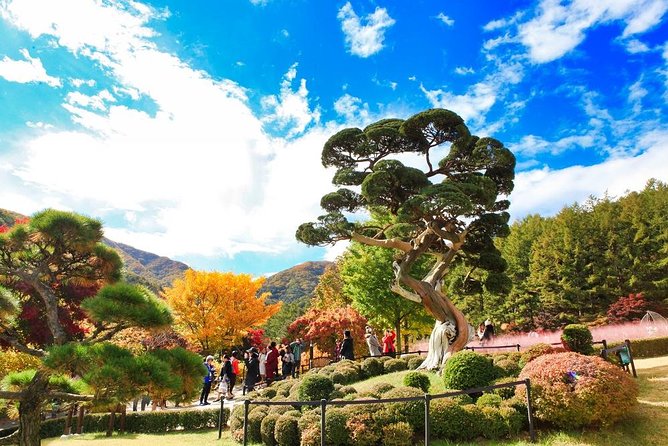 One Day Private Tour-Nami, Petite and Garden of Morning Calm - Nami Island: Winter Sonata scenery with time to actually wander
