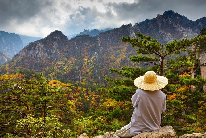 One-Day Tour for stunning Mt.Seoraksan from Seoul - Key Things I’d Focus On