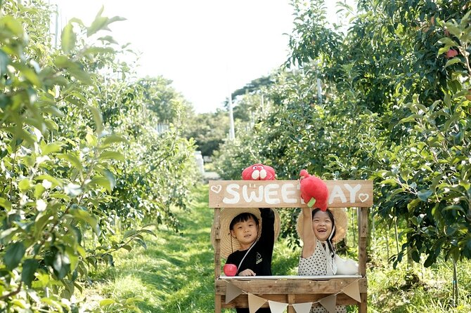 Pocheon Art Valley, Garden & Fruit Picking Day Tour from Seoul - Garden of Morning Calm: oldest private garden vibes (when it’s on the schedule)