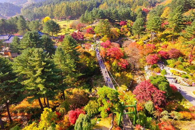 Pocheon Art Valley, Garden & Fruit Picking Day Tour from Seoul - Meals and pacing: how to handle a long 10 to 11 hour day