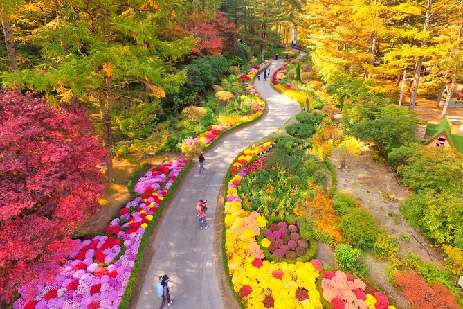 Pocheon Art Valley, Garden & Fruit Picking Day Tour from Seoul - Value check: is $72.38 really a good deal?