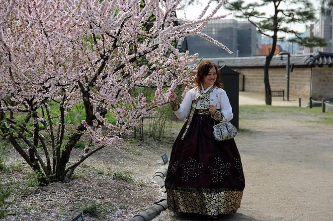 Private day tour Korea(Seoul trip) with Professional Photographer - South-of-Seoul day: folk village area, a fortress stop, and Everland