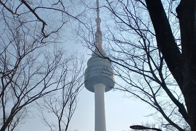 Private Full Day Seoul City Tour and N Tower Cable Car - Gwangjang Market: street food that deserves planning