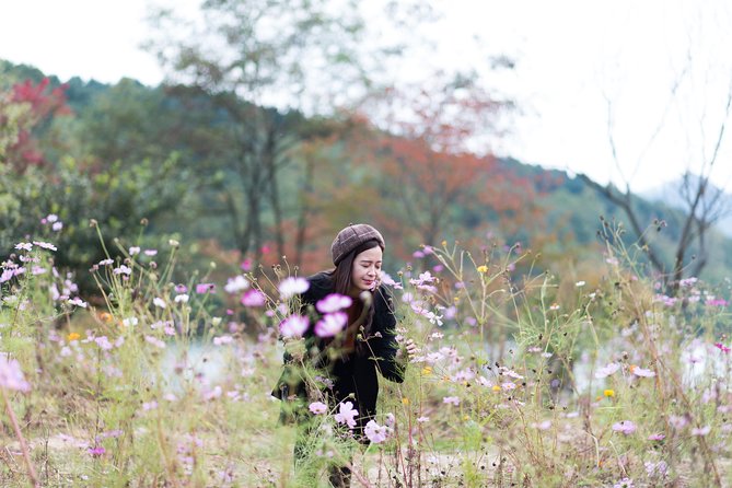 Private Nami Island Photo Shoot and Tour with a Photographer - Who this tour fits best (and who might not love it)