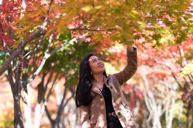 Private Nami Island Photo Shoot and Tour with a Photographer - Price and value: what your $179 is really paying for