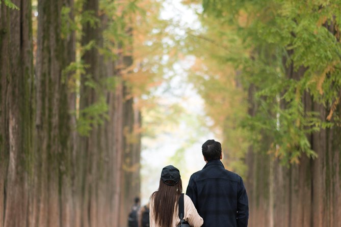 Private Nami Island Photo Shoot and Tour with a Photographer - The 7-hour plan: Nami Island time, photo stops, and Chuncheon Dakgalbi