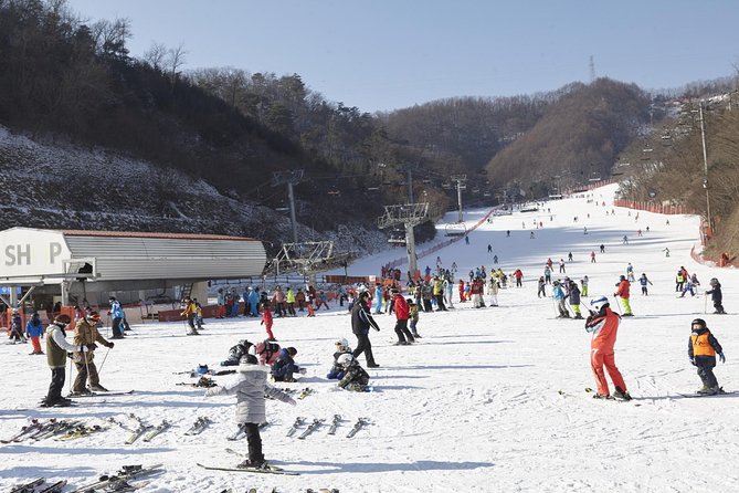 Private Ski Tour(Lesson) near Seoul at Elysian Gangchon Resort - Key Things You’ll Really Care About