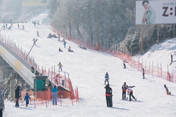 Private Ski Tour(Lesson) near Seoul at Elysian Gangchon Resort - The 2-Hour Private Lesson: Fast Feedback That Builds Confidence