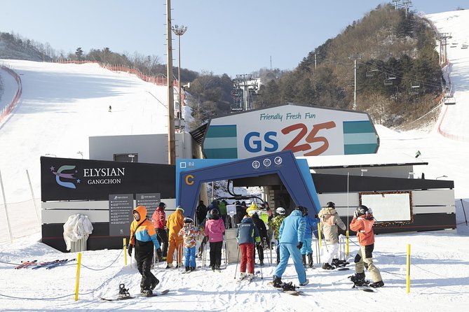Private Ski Tour(Lesson) near Seoul at Elysian Gangchon Resort - What’s Not Included: Lift Tickets, Gloves, and Goggles