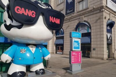 Private Tour: Gangnam Style Tour - Meet-up, pacing, and the private-group sweet spot