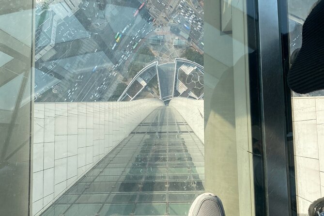 Private tour Lotte World,Tower,Aquarium(All Tickets are included) - Lotte World Tower: Seoul Sky at 500m and photo-friendly glass views