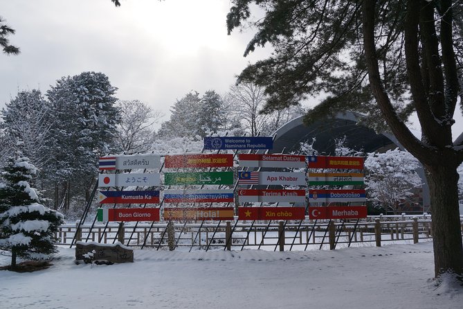 Private Tour: Nami Island& (Alpaca World 'or' Morning Calm)&Lunch - Your guide is the difference: English, timing, and helpful attention