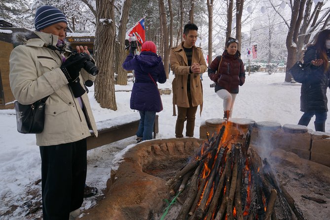 Private Tour: Nami Island& (Alpaca World 'or' Morning Calm)&Lunch - How the day pacing works (and why 8 to 10 hours matters)