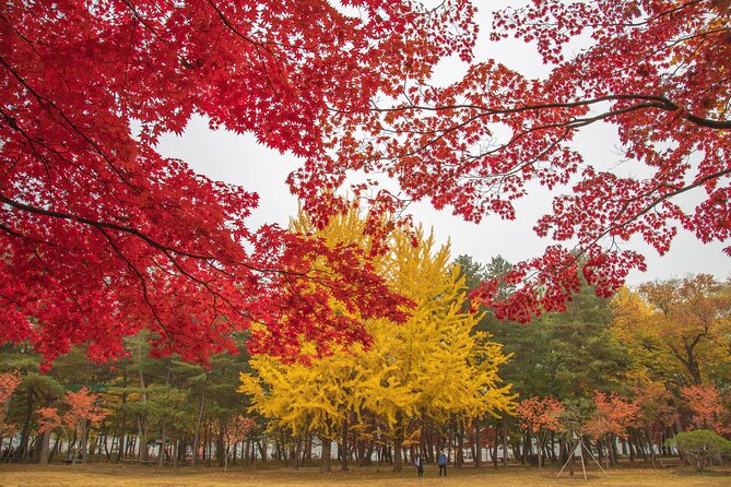 (Private tour) Nami Island + Railbike + Garden of morning calm - A smart private day trip format from Seoul