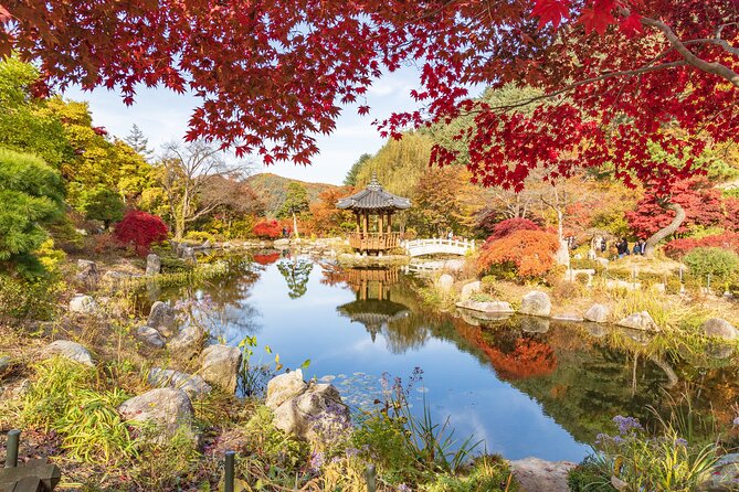 (Private tour) Nami Island + Railbike + Garden of morning calm - Nami Island: forest wandering with a guided start