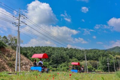 (Private tour) Nami Island + Railbike + Garden of morning calm - Morning starts: 8:00 am pickup and a realistic 10-hour flow