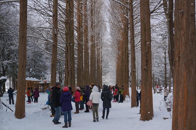 [Private Tour] Nami Island & Snow Viewing and Snow sled (More Members Less Cost) - A private day from Seoul: pickup, timing, and what the ride feels like
