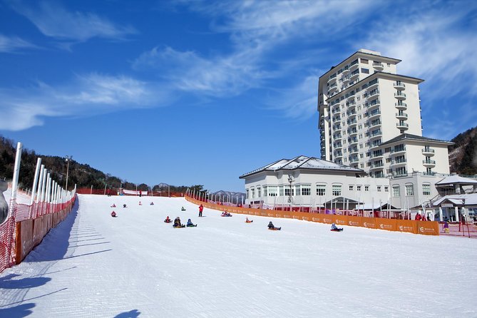 [Private Tour] Nami Island & Snow Viewing and Snow sled (More Members Less Cost) - What to wear and bring for real winter comfort
