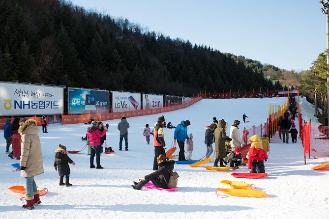 [Private Tour] Nami Island & Snow Viewing and Snow sled (More Members Less Cost) - Who this tour fits best, and who might skip it