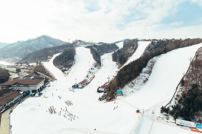 [Private Tour] Nami Island & Snow Viewing and Snow sled (More Members Less Cost) - Should you book this Nami Island and Snow tour?