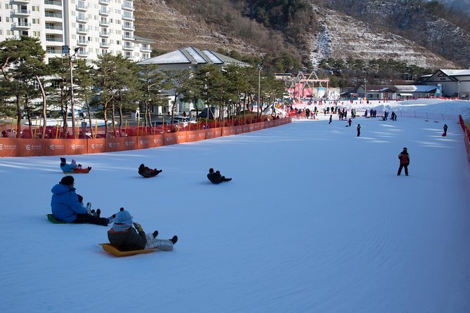 [Private Tour] Nami Island & Snow Viewing and Snow sled (More Members Less Cost) - Nami Island in winter: Winter Sonata vibes and how to use 4 hours