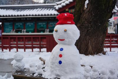 Private Tour Nami Island with Petite France 'and/or' The Garden of Morning Calm - Petite France: fairy-tale French streets with Korean media ties