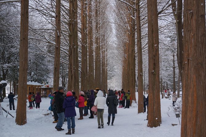Private Tour Rail Bike & Nami Island & (Petite France or Garden of Morning Calm) - Nami Island: three hours to wander the lanes and take the scenic route