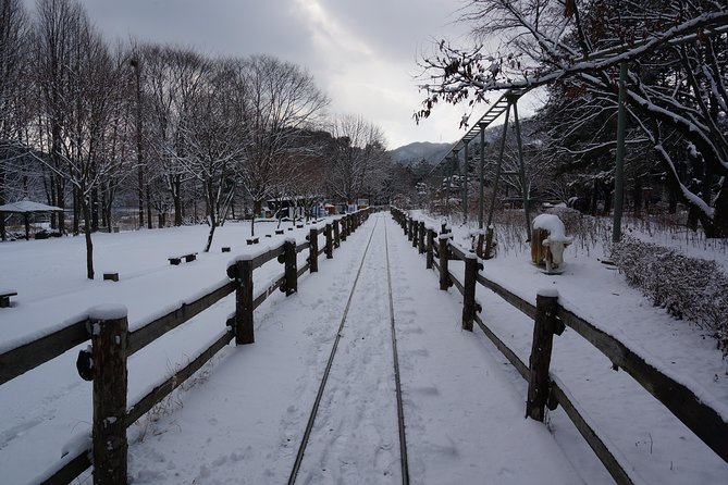 Private Tour Rail Bike & Nami Island & (Petite France or Garden of Morning Calm) - A guide can be the difference between a good day and a great one